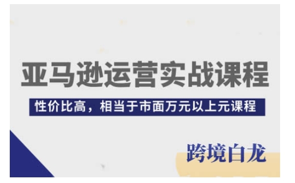 亚马逊运营实战课程，亚马逊从入门到精通，性价比高，相当于市面万元以上元课程-蜗牛项目网