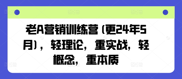 老A营销训练营(更24年12月)，轻理论，重实战，轻概念，重本质-蜗牛项目网