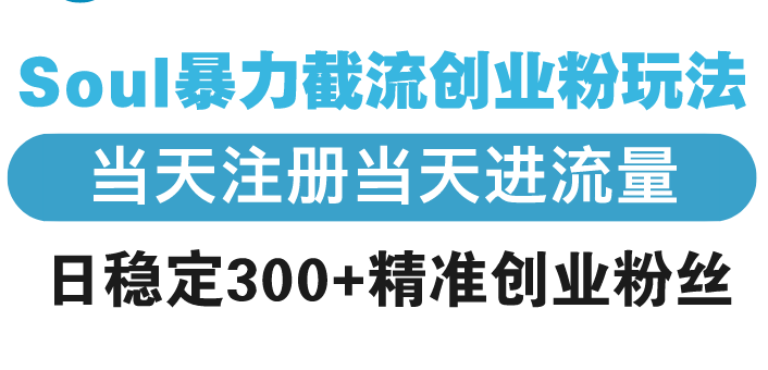 Soul暴力截流创业粉玩法，当天注册当天进流量，日稳定300+精准创业粉丝-蜗牛项目网