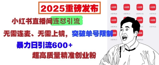 2025重磅发布：小红书直播间连怼引流，无需连麦、无需上镜，突破单号限制，暴力日引流600+-蜗牛项目网