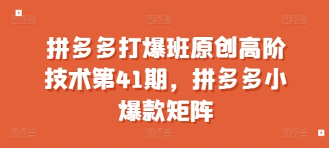 拼多多打爆班原创高阶技术第41期，拼多多小爆款矩阵-蜗牛项目网