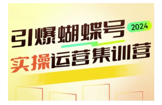 引爆蝴蝶号实操运营，助力你深度掌握蝴蝶号运营，实现高效实操，开启流量变现之路-蜗牛项目网