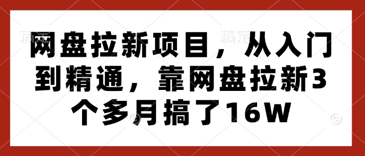 网盘拉新项目，从入门到精通，靠网盘拉新3个多月搞了16W-蜗牛项目网