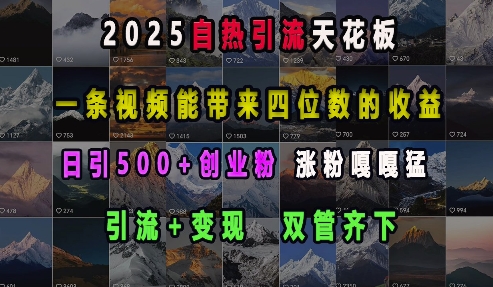 2025自热引流天花板，一条视频能带来四位数的收益，引流+变现双管齐下，日引500+创业粉，涨粉嘎嘎猛-蜗牛项目网