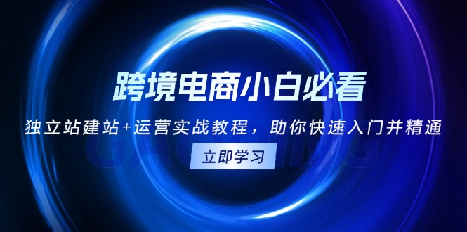 跨境电商小白必看！独立站建站+运营实战教程，助你快速入门并精通-蜗牛项目网