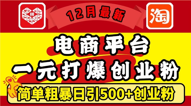 12月最新：电商平台1元打爆创业粉，简单粗暴日引500+精准创业粉，轻松月入过W【揭秘】-蜗牛项目网