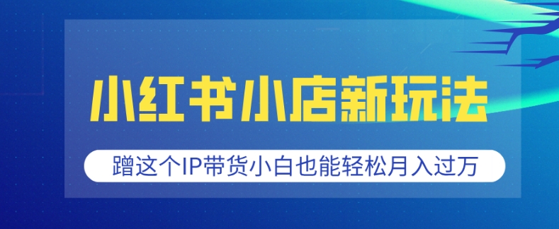 小红书小店新玩法，蹭这个IP带货，小白也能轻松月入过W【揭秘】-蜗牛项目网