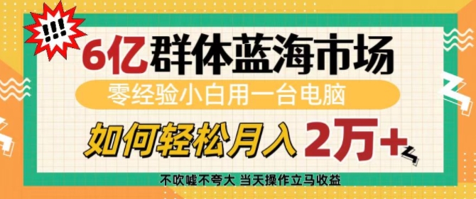 6亿群体蓝海市场，零经验小白用一台电脑，如何轻松月入过w【揭秘】-蜗牛项目网