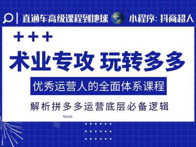 术业专攻玩转多多，优秀运营人的全面体系课程，解析拼多多运营底层必备逻辑-蜗牛项目网