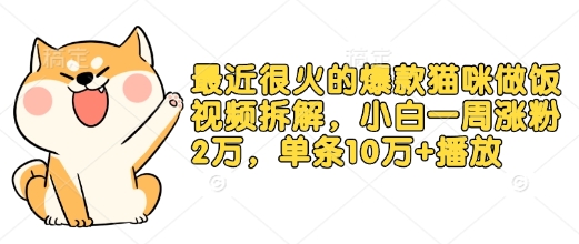 最近很火的爆款猫咪做饭视频拆解，小白一周涨粉2万，单条10万+播放(附保姆级教程)-蜗牛项目网