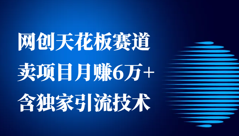 网创天花板赛道，卖项目月赚6万+，含独家引流技术(共26节课)-蜗牛项目网