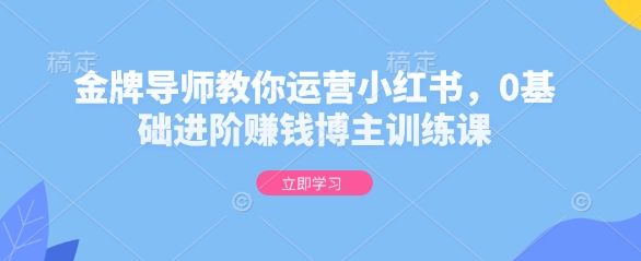 金牌导师教你运营小红书，0基础进阶赚钱博主训练课-蜗牛项目网