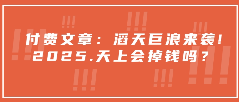 付费文章：滔天巨浪来袭！2025天上会掉钱吗？-蜗牛项目网