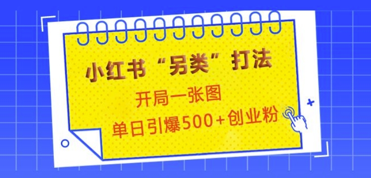 小红书“另类”打法，开局一张图，单日引爆500+精准创业粉【揭秘】-蜗牛项目网