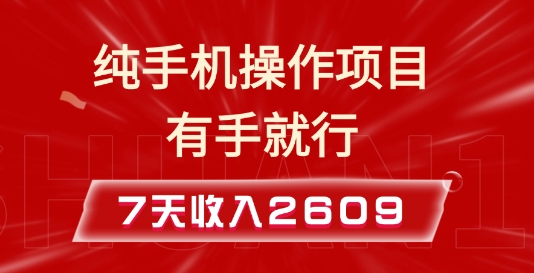 纯手机操作的小项目，有手就能做，7天收入2609+实操教程【揭秘】-蜗牛项目网