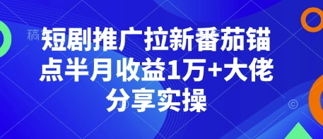 短剧推广拉新番茄锚点半月收益1万+大佬分享实操-蜗牛项目网