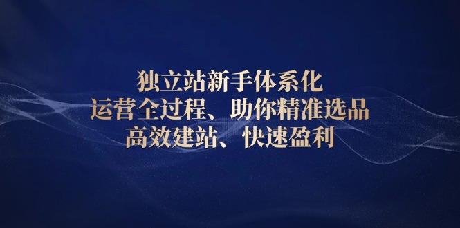 独立站新手体系化 运营全过程，助你精准选品、高效建站、快速盈利-蜗牛项目网