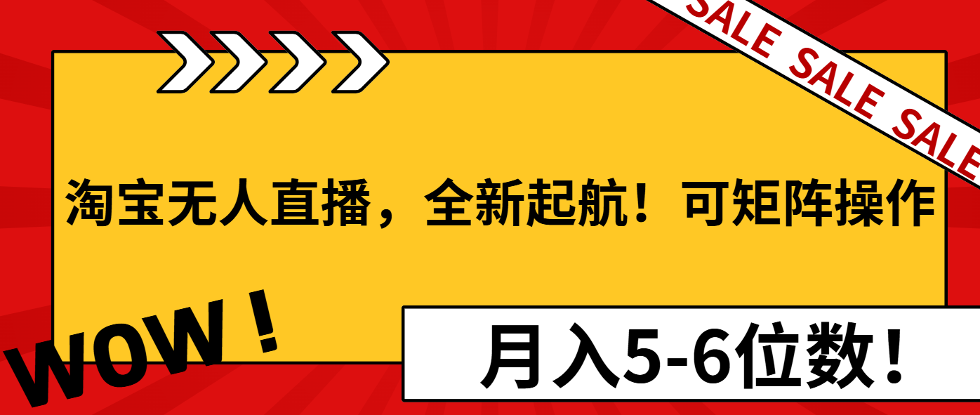 淘宝无人直播，全新起航！可矩阵操作，月入5-6位数！-蜗牛项目网